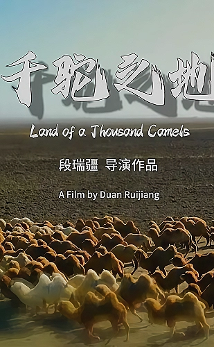 舞台灯光设计现场